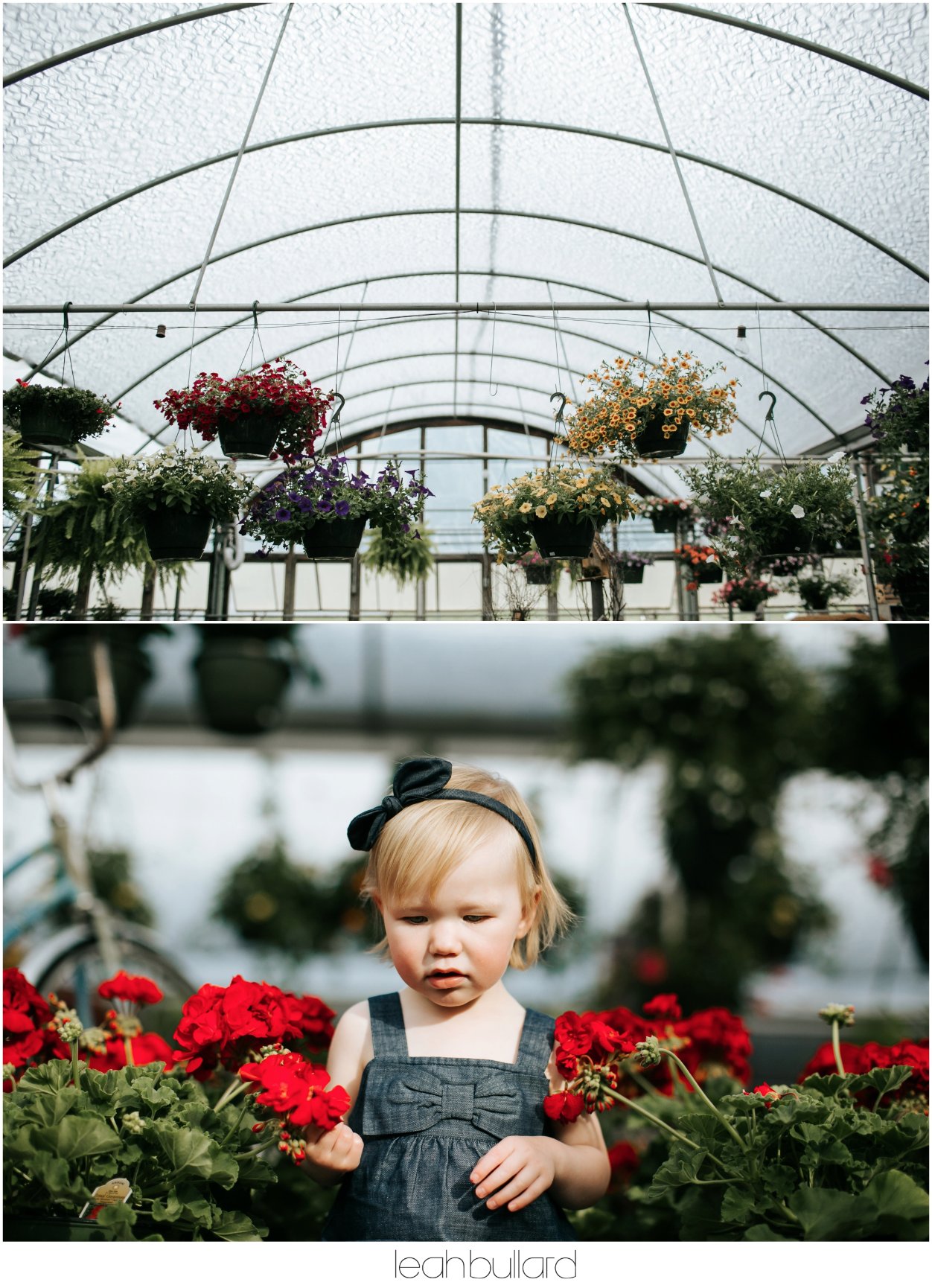 A Day At The Greenhouse Knoxville Family Photographer Leah Bullard