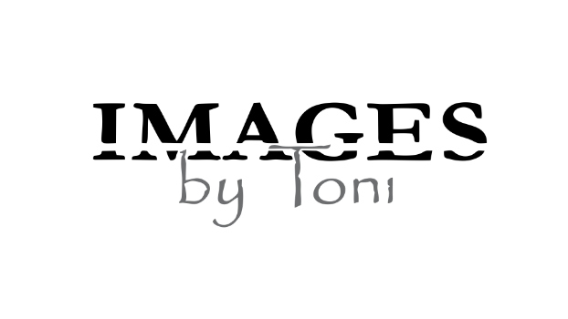 Images by Toni Logo