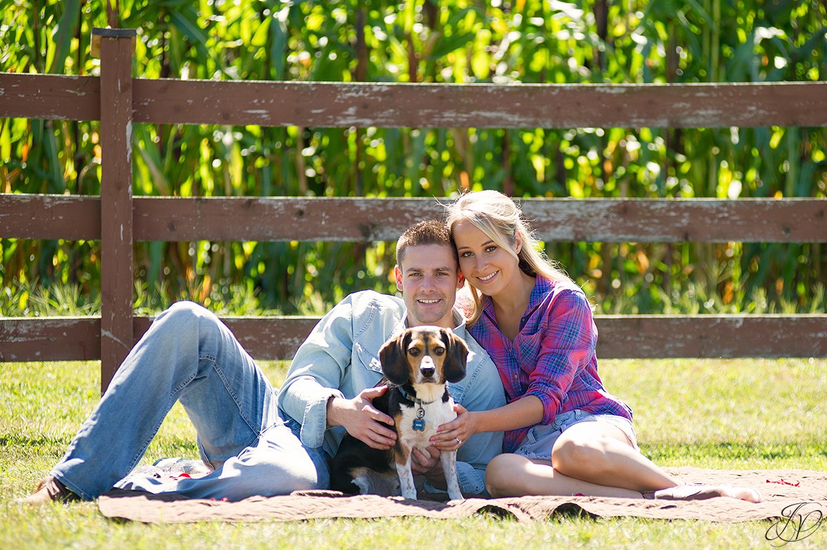 cute engagement portrait with puppy