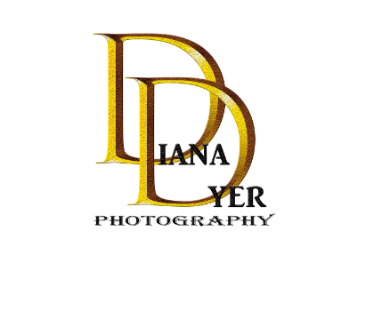 Diana Dyer Photography Logo