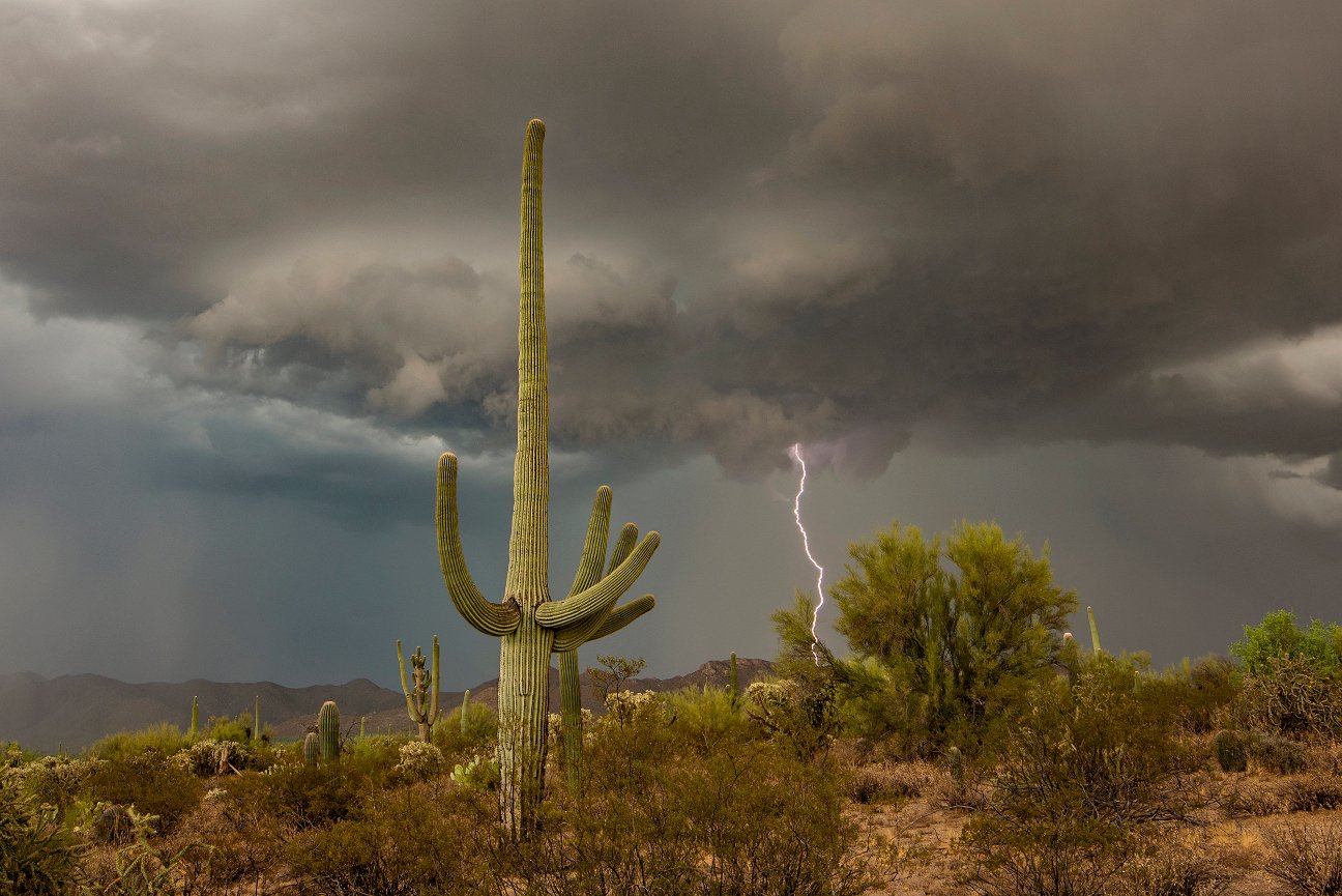 Arizona Monsoon Storm Chasing Photography Tours
