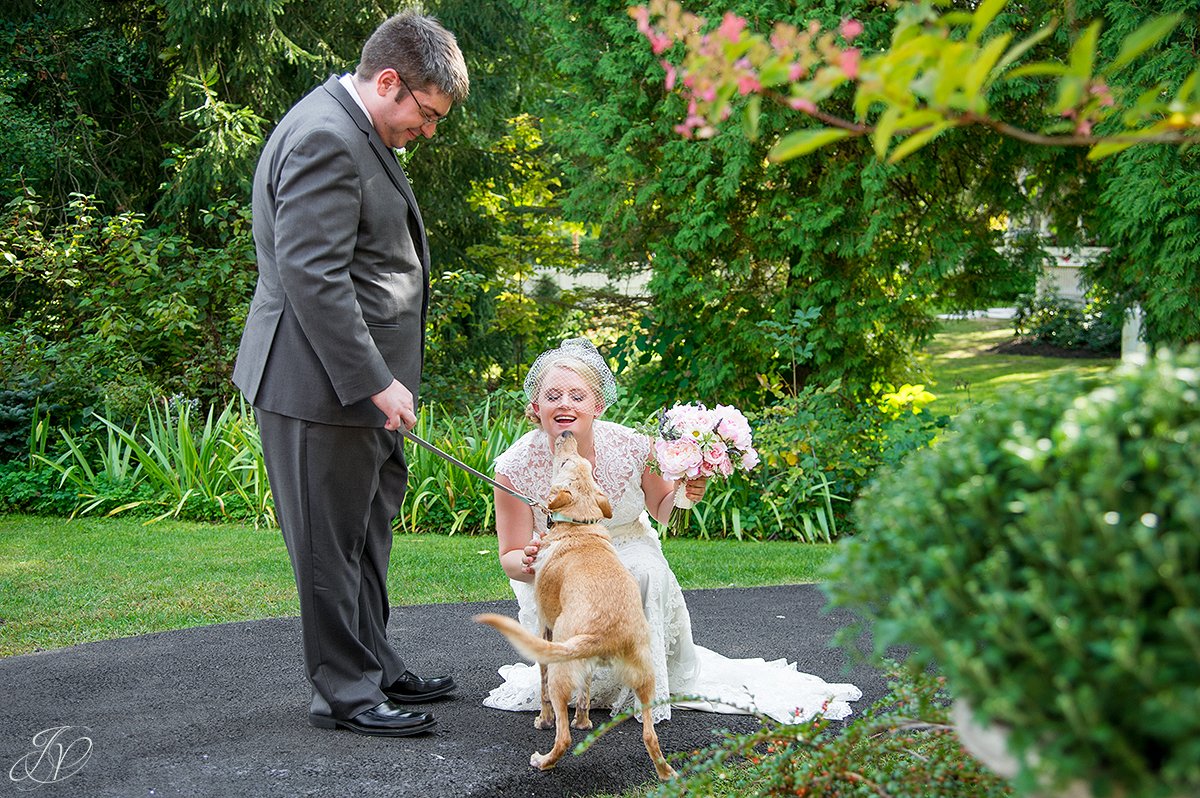 dog kissing bride on wedding day