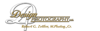 Design photography, Ltd. Logo