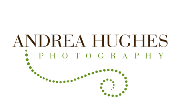 Andrea Hughes Photography Logo