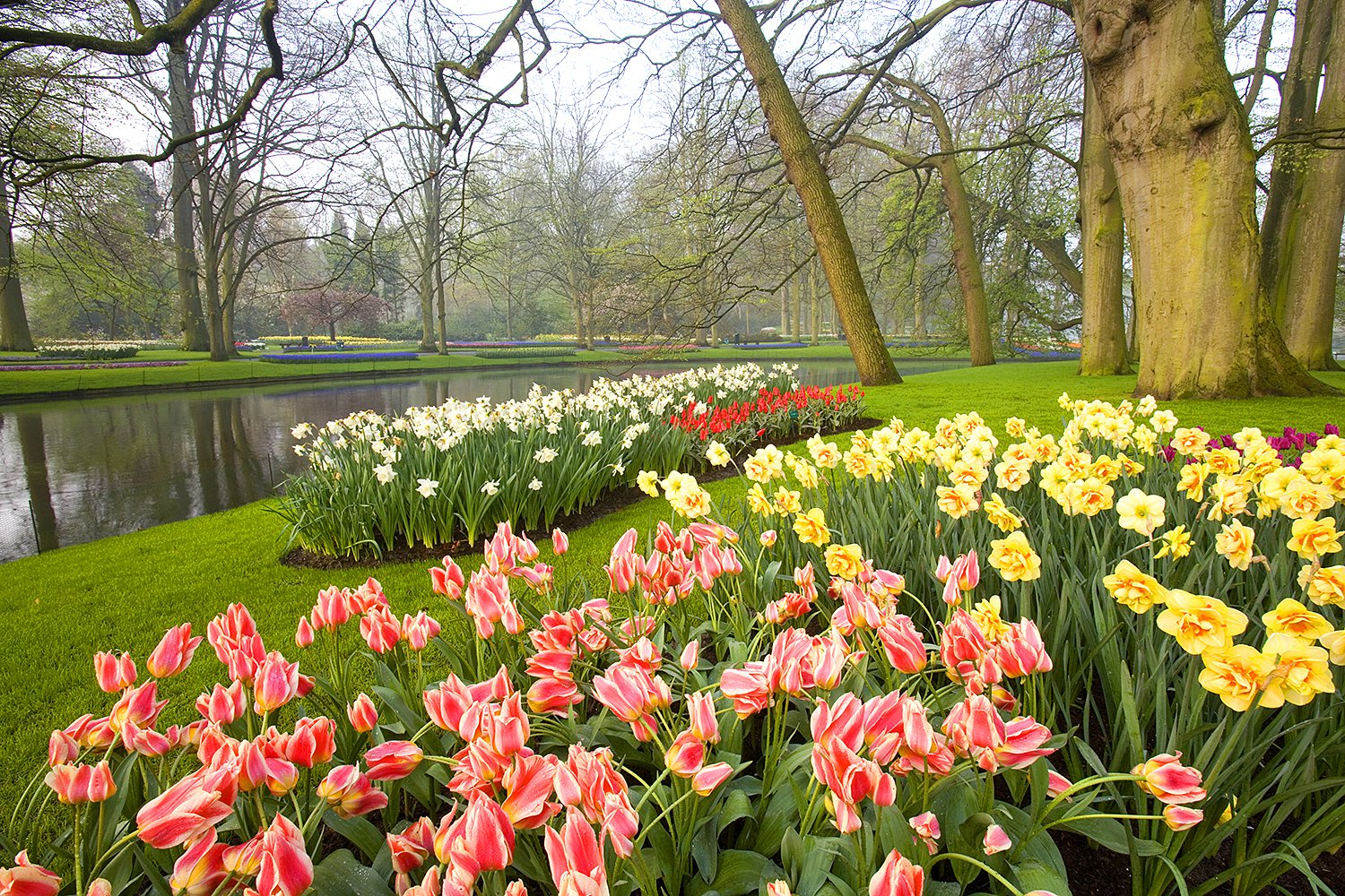 Keukenhof Gardens Jim Zuckerman photography & photo tours
