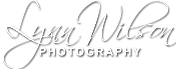 Lynn Wilson Photography Logo