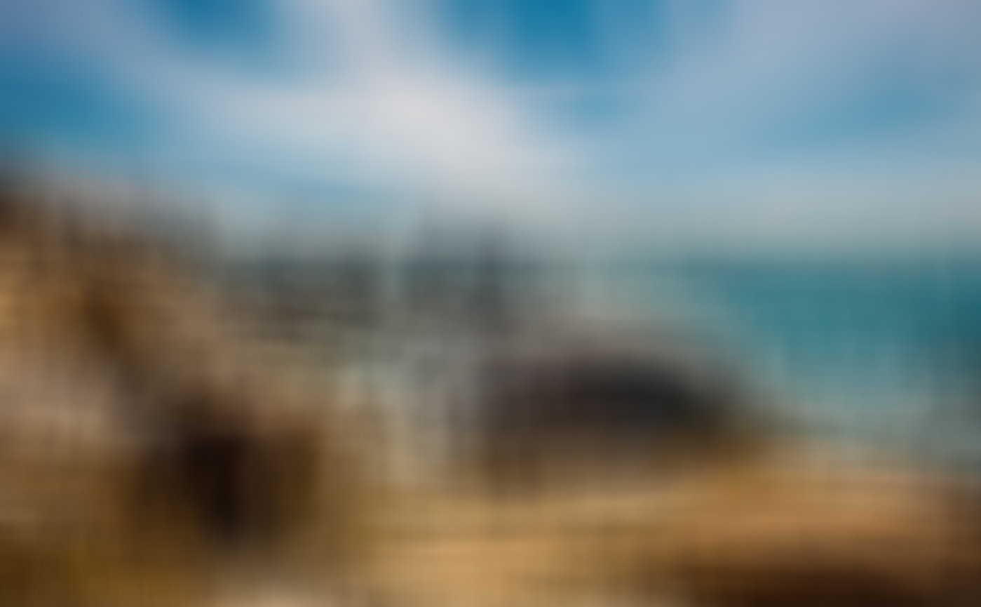 Wall Art Sundberg Photography Photo Canvas Print Abstract Bird