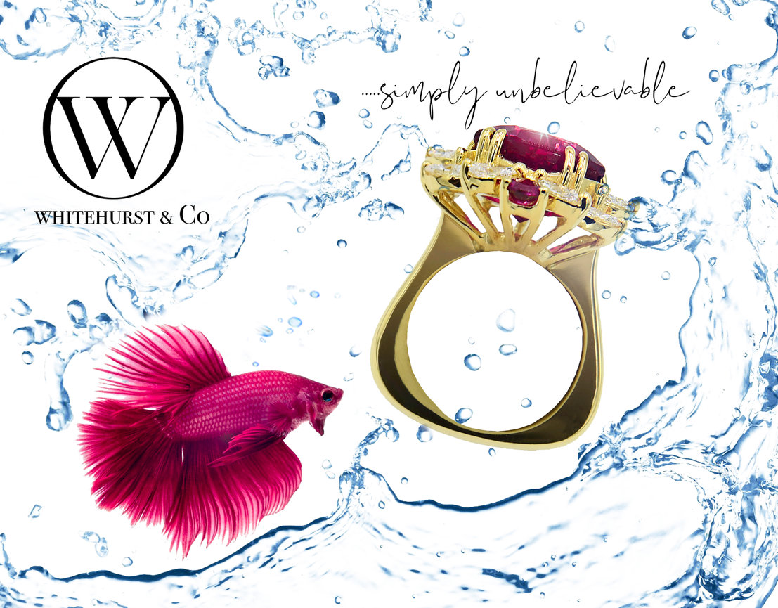 Gold ring with a large ruby and diamonds, alongside a vibrant red betta fish in splashing water.