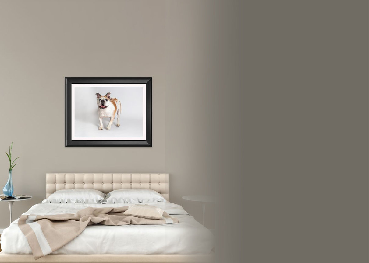 Custom framed artwork of your pet’s photo