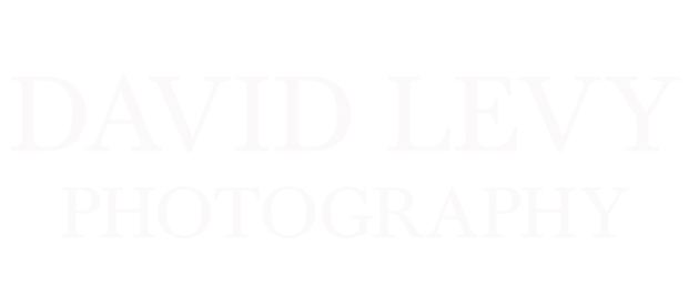 David Levy Photography Logo