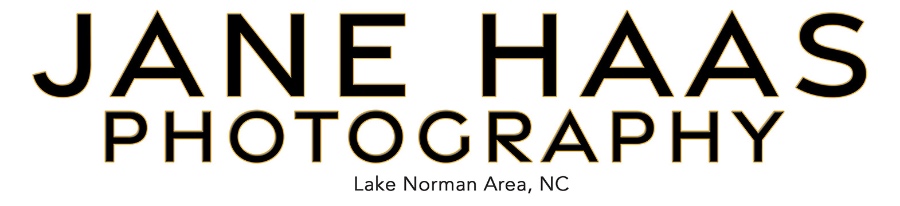 Jane Haas Photography Logo