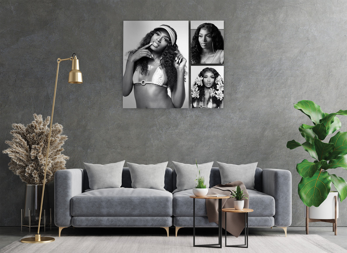 multi piece portrait wall collection displayed above sofa in a modern living room with coordinated black and white artwork