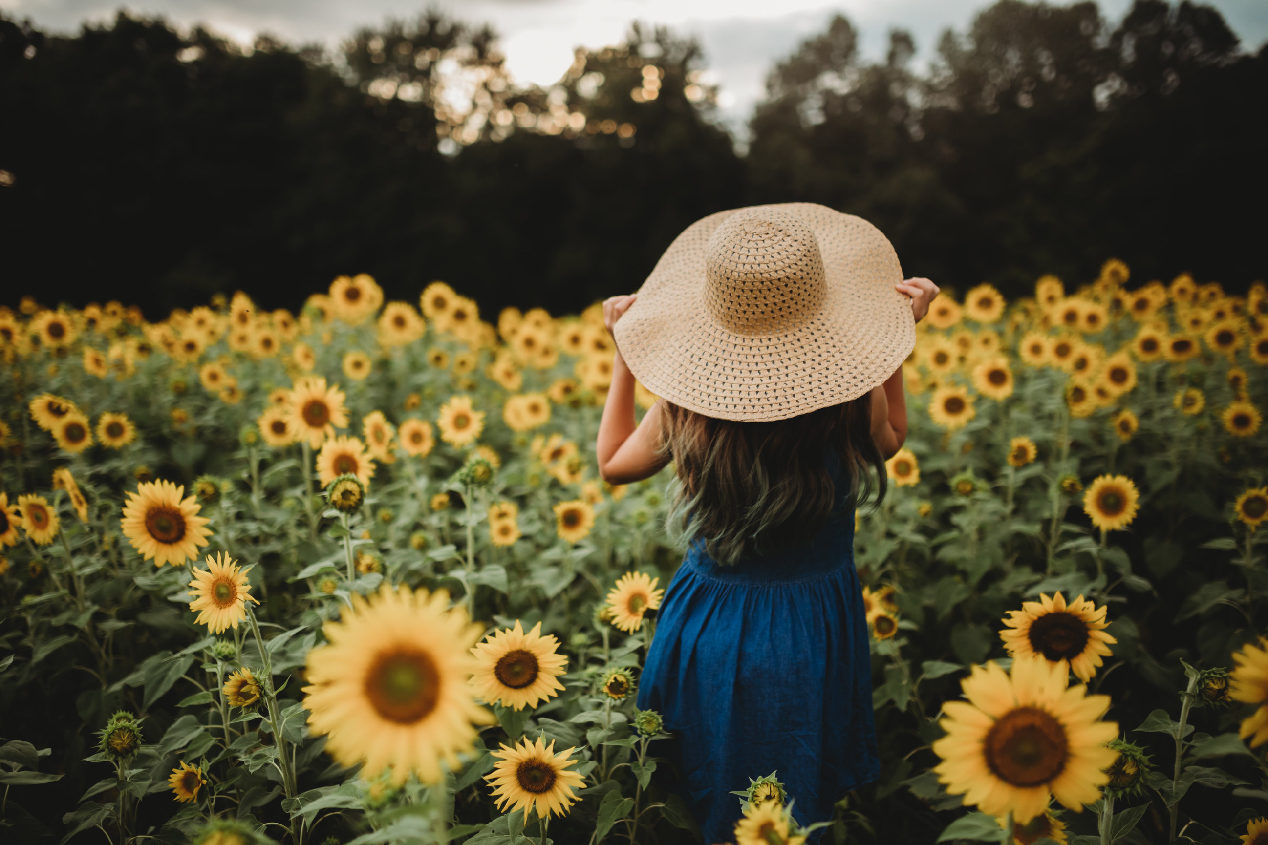Sunflower Mini Sessions - Crystal Allen Photography