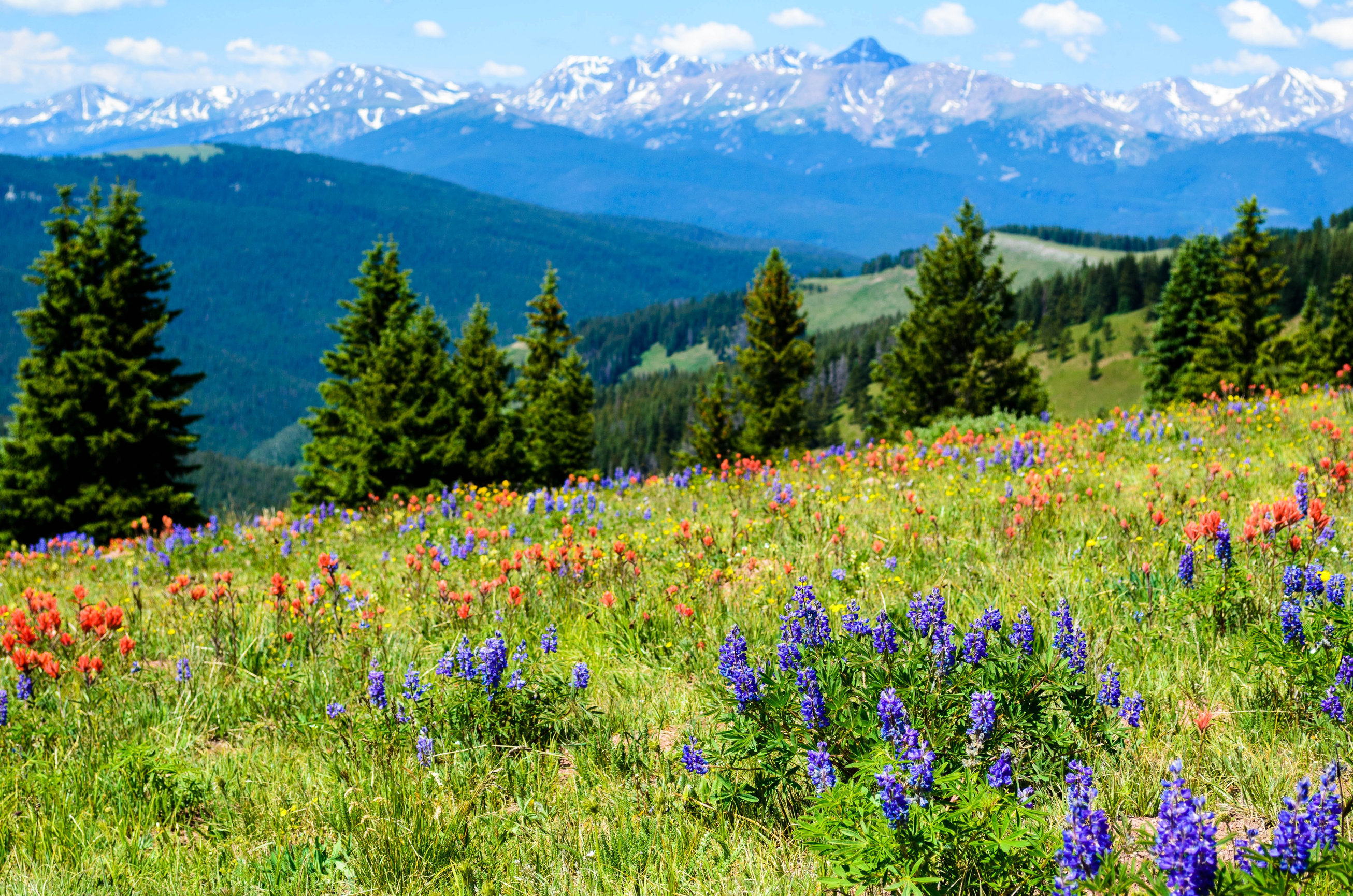 trip-calendar-nature-exposed-tours