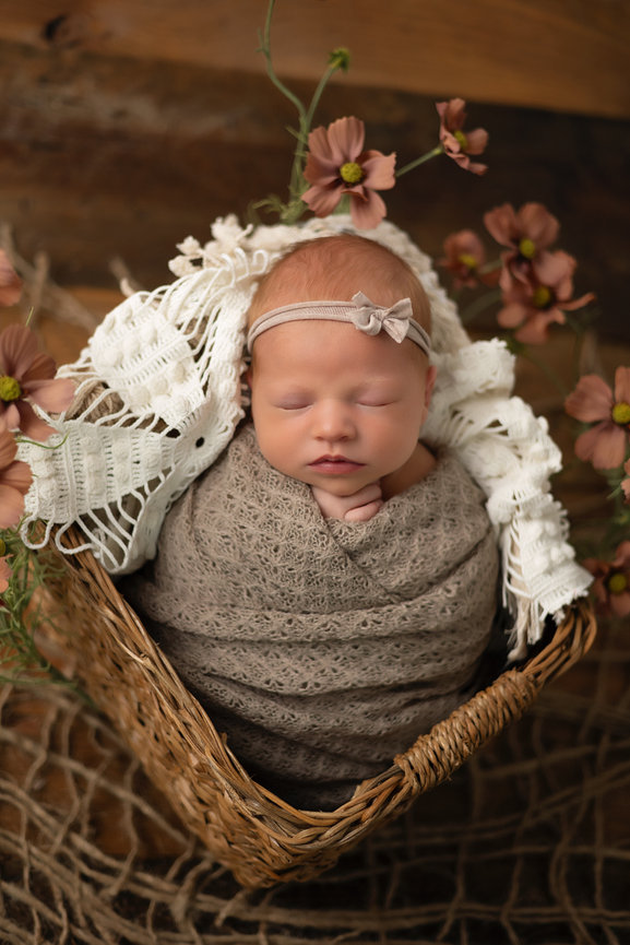 newborn photography, wisconsin newborn photography, la crosse newborn studio, onalaska wisconsin photography studio, newborn girl, newborn photoshoot