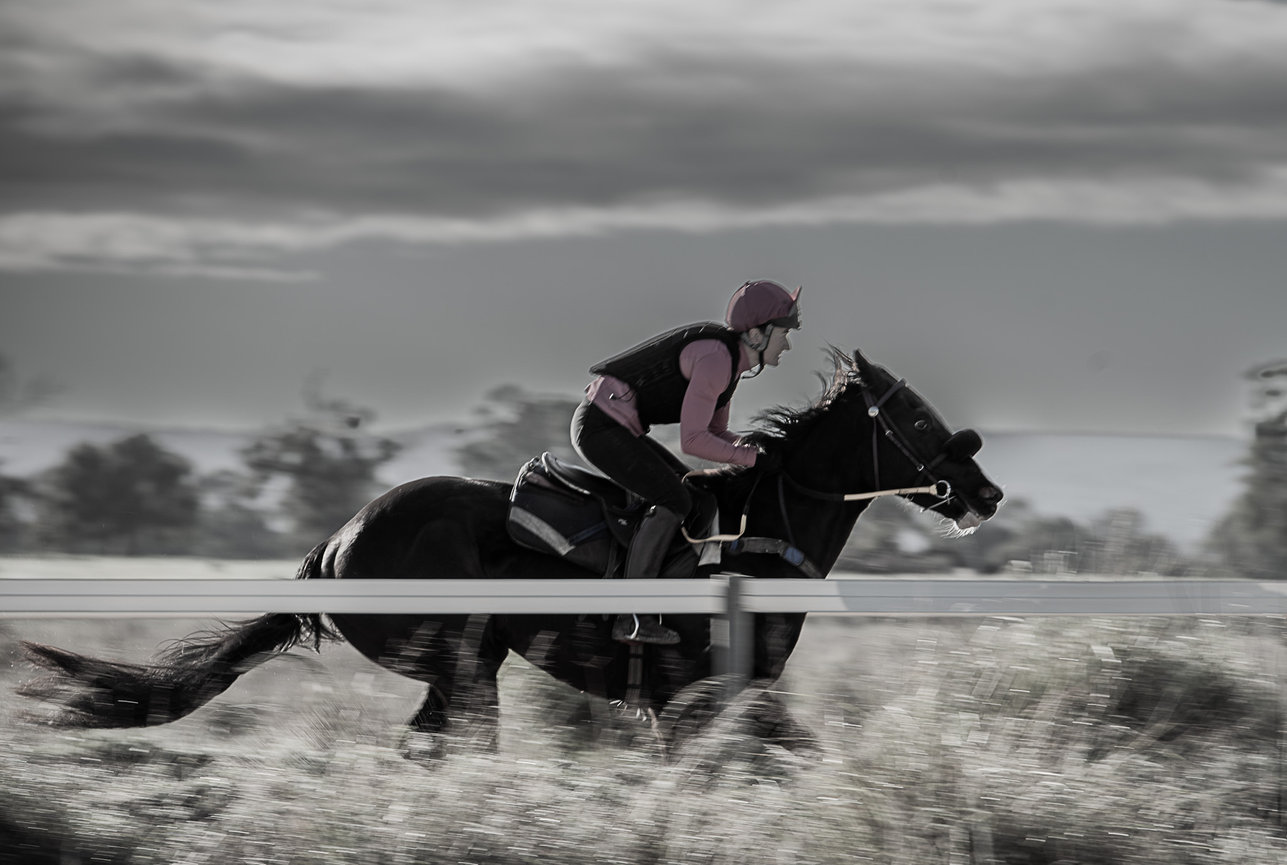 Rider racing a horse on a grassy field