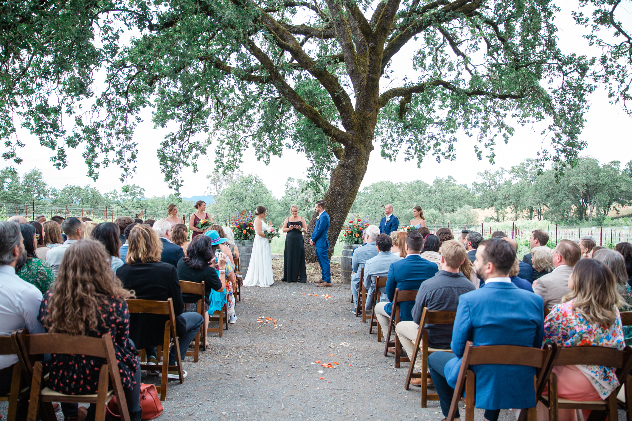 Ceremony with bride and groom Russian River Vineyards