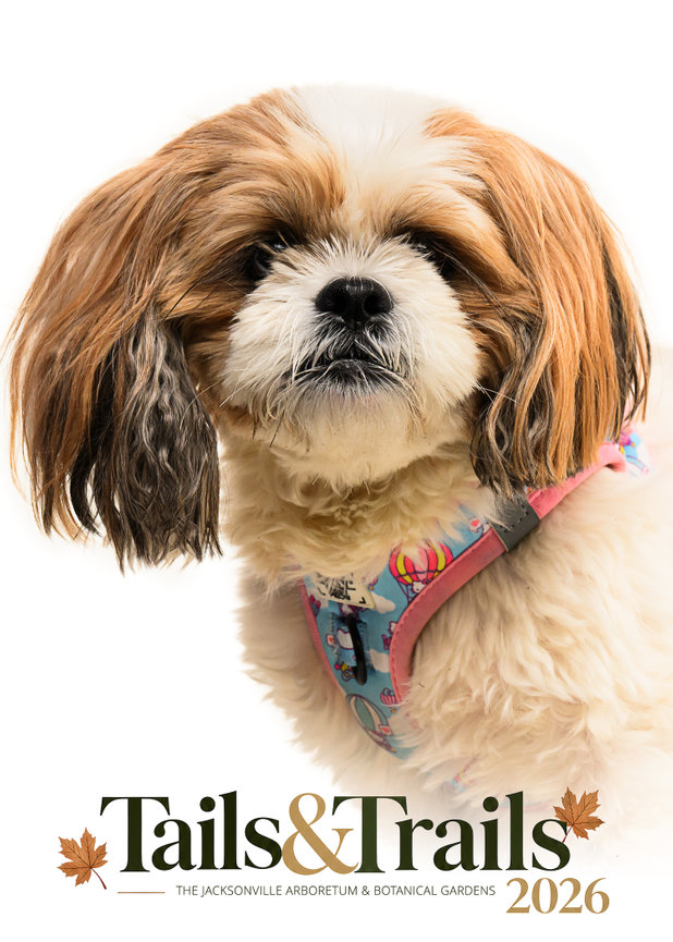 Tails and Trails 2026 dog portrait