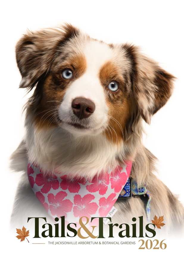 Tails and Trails 2026 dog portrait