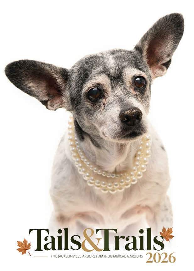 Tails and Trails 2026 dog portrait