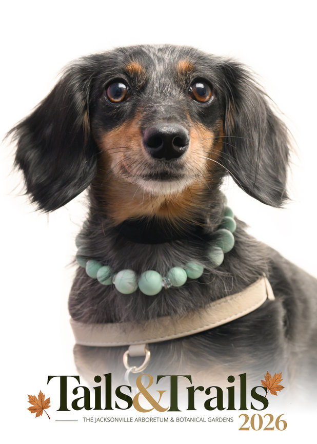 Tails and Trails 2026 dog portrait