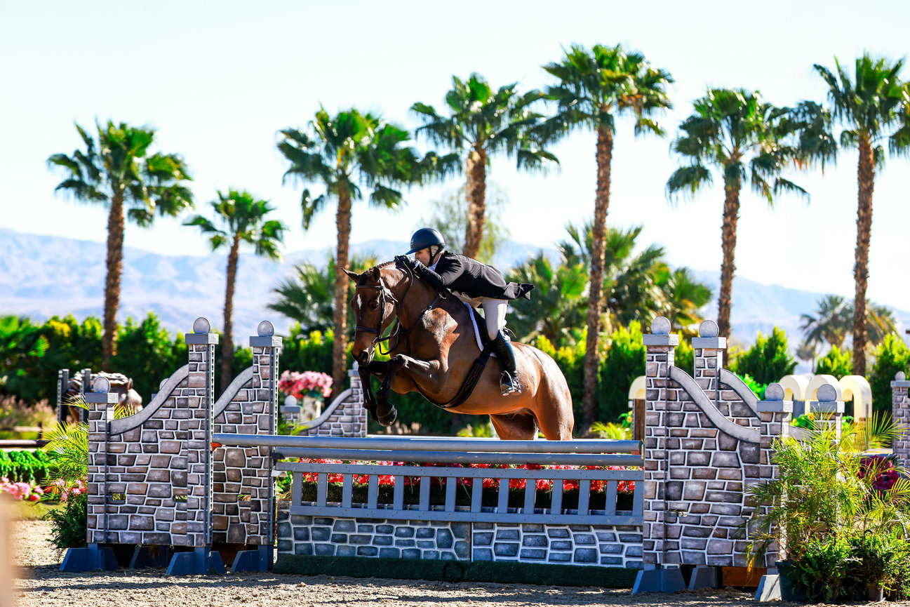 Horse and rider jumping a decorative stone wall fence with palm trees behind them.