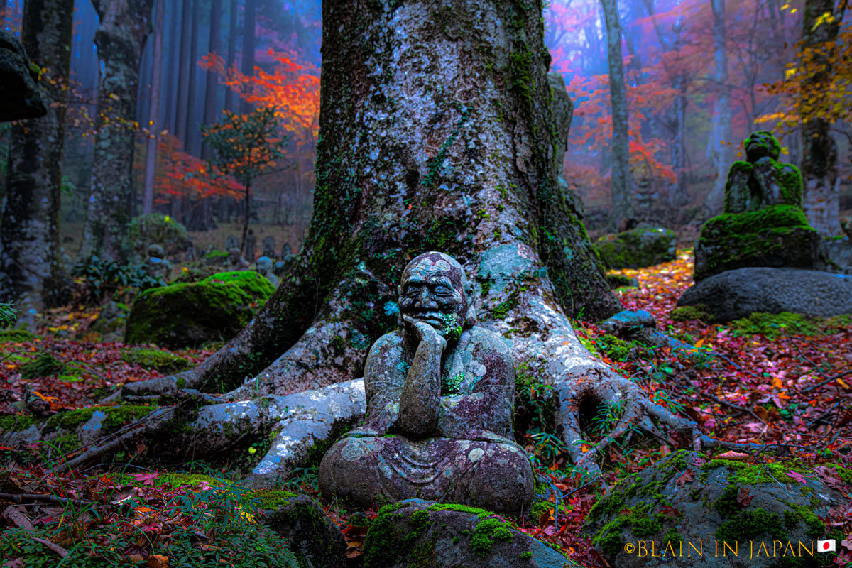 Exploring Zen and Escaping Tourist Pollution - Essence of Autumn Leaves ...