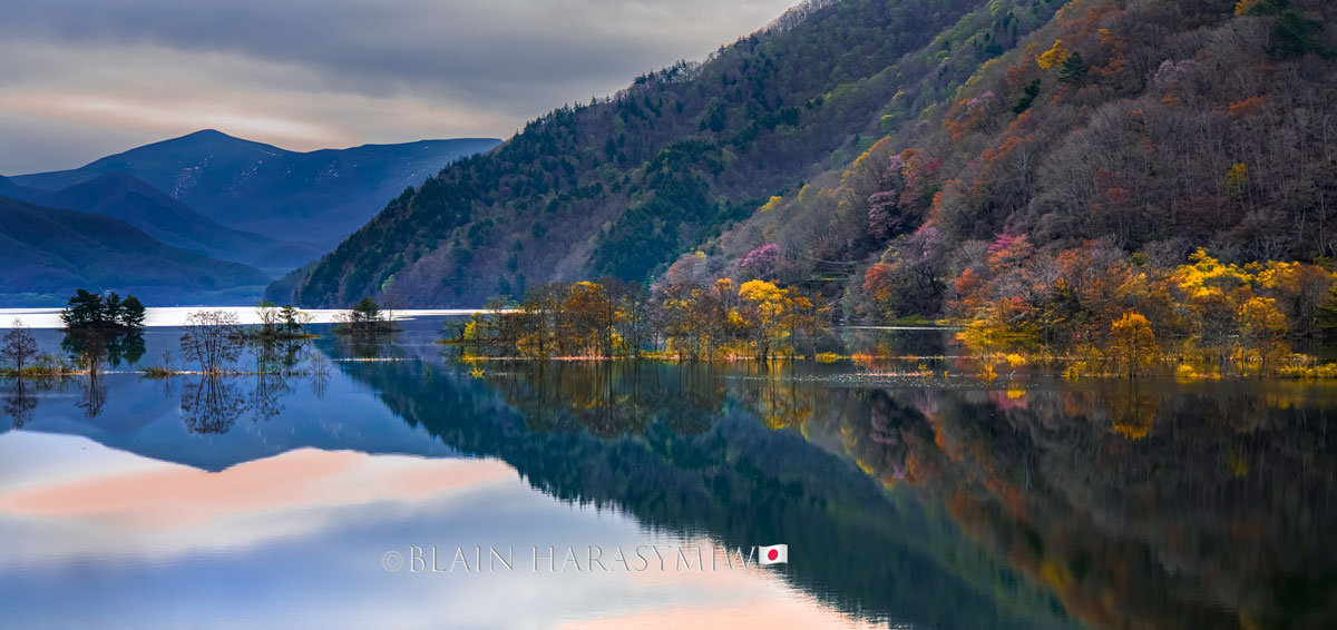 Essence of Autumn Japan Photography Tour 2025 - Blain