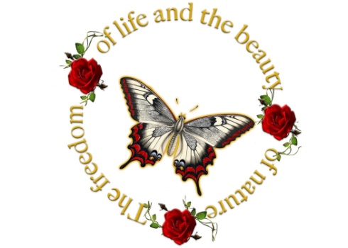 Diana Dyer Photography Logo