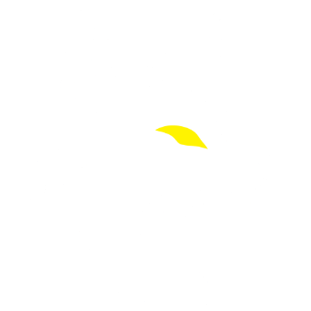 Rocket Fox Photography Logo