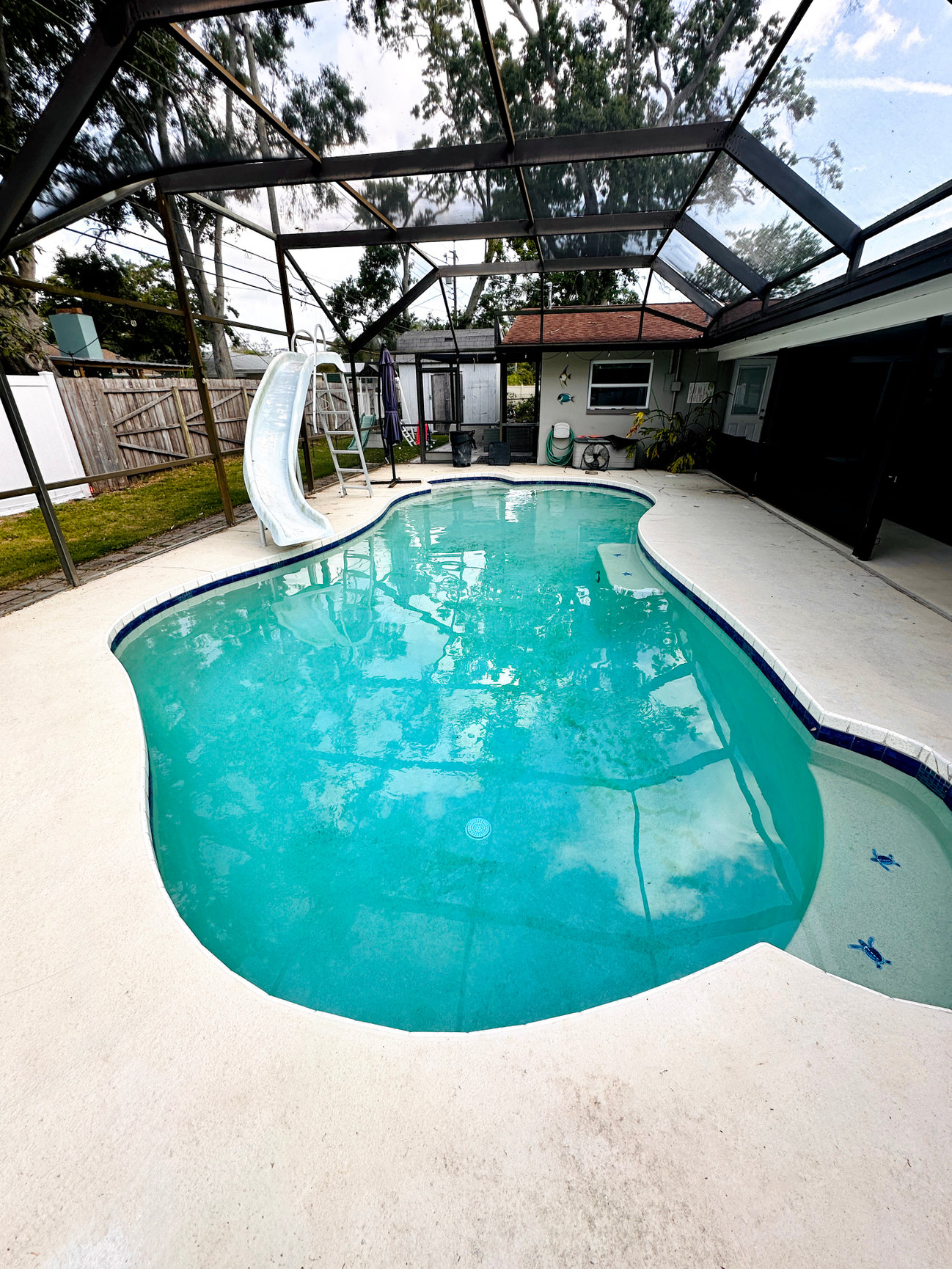 Crystal clear pool after professional pool treatment by Playa Pool Pros