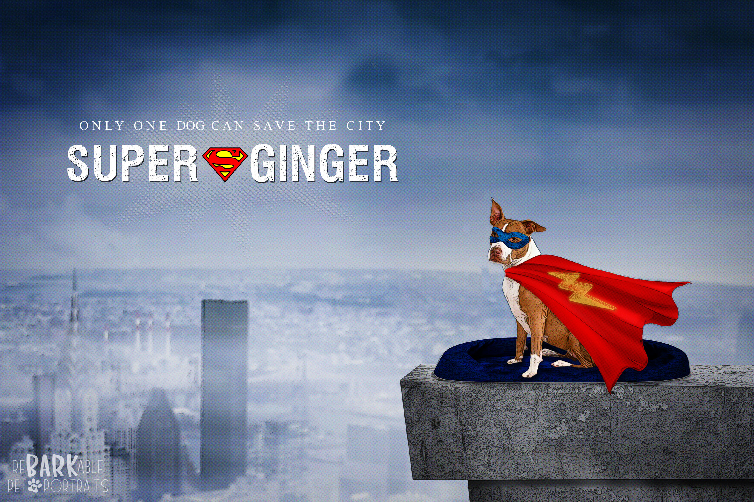 ReBARKable Pet Portraits Images by Kay & Co Photography