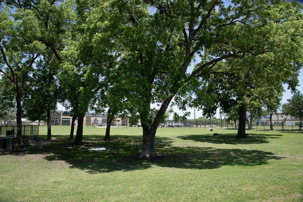 Three Great Dog Parks in Carrollton and Coppell