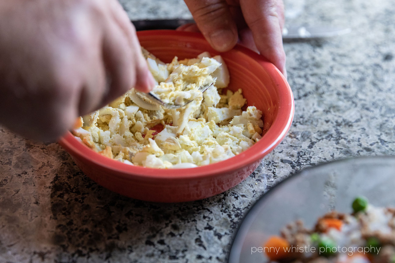 Chicken And Rice Dog Food Recipe For Upset Stomach, 41 OFF