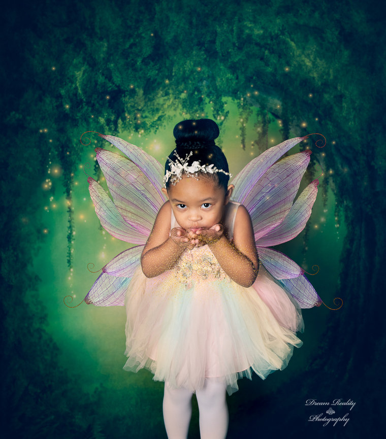 enchanted fairies dresses Enchanted Garden Embroidered Fairy Dress main image 0