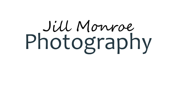 Jill Monroe Logo