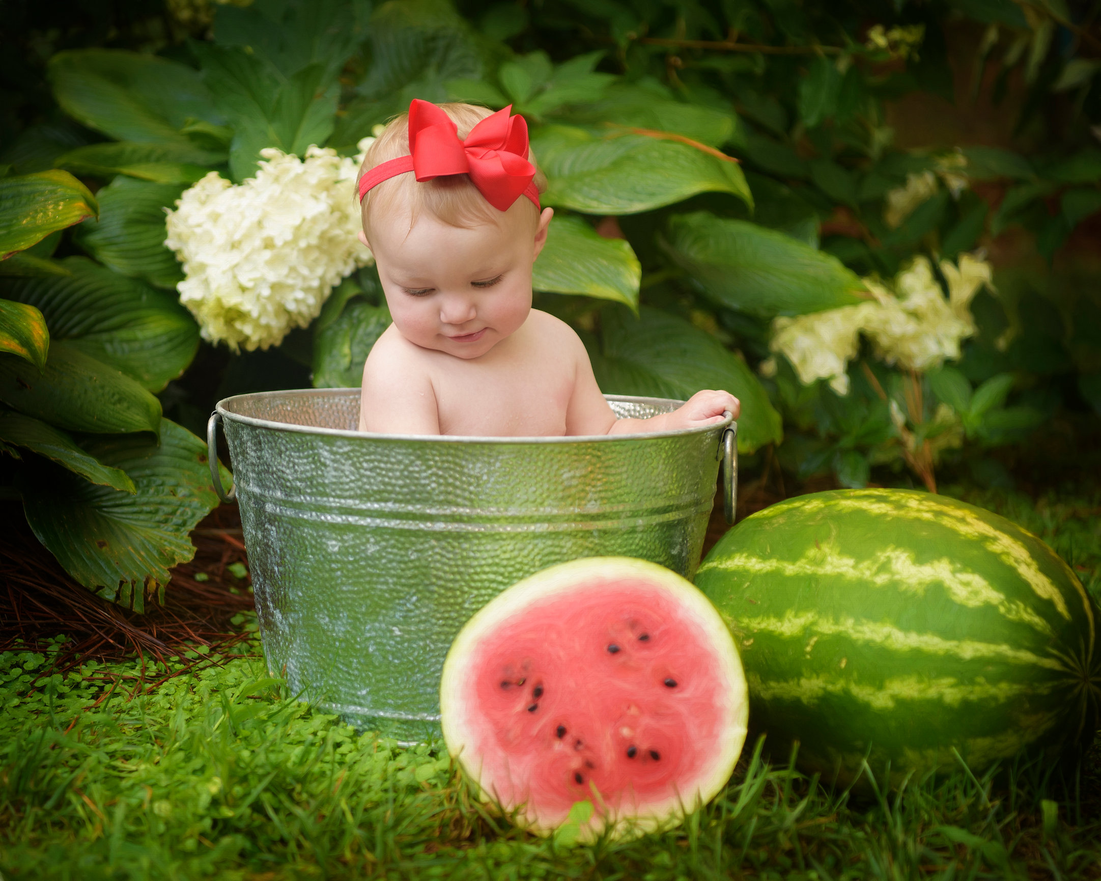 Wake Forest NC Portrait Studio | Nancy Jo Photography Inc