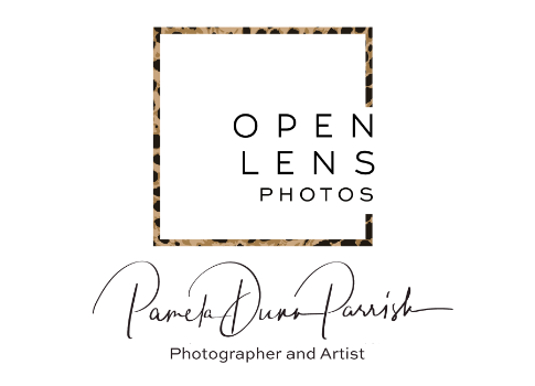 Open Lens by Pamela, Photography