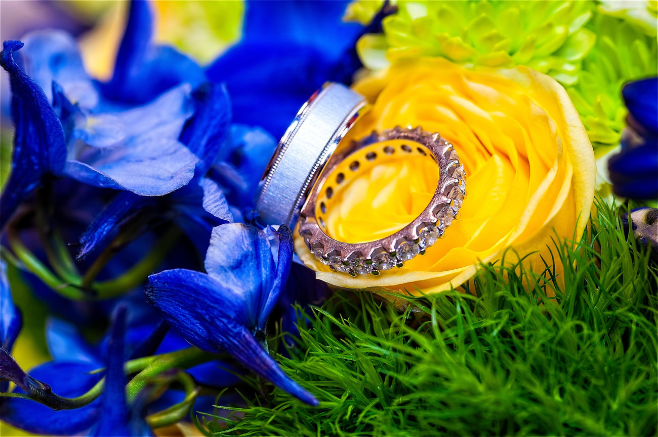 Close-up of a diamond eternity band and brushed metal wedding ring resting on a yellow rose, surrounded by vibrant blue and green flowers.