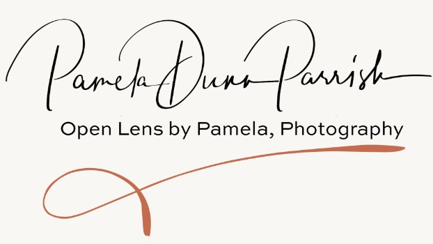 Open Lens Photos, Professional Photography Logo