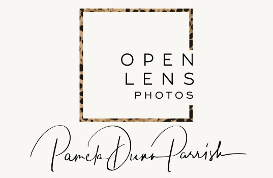 Open Lens Photos, Professional Photography Logo