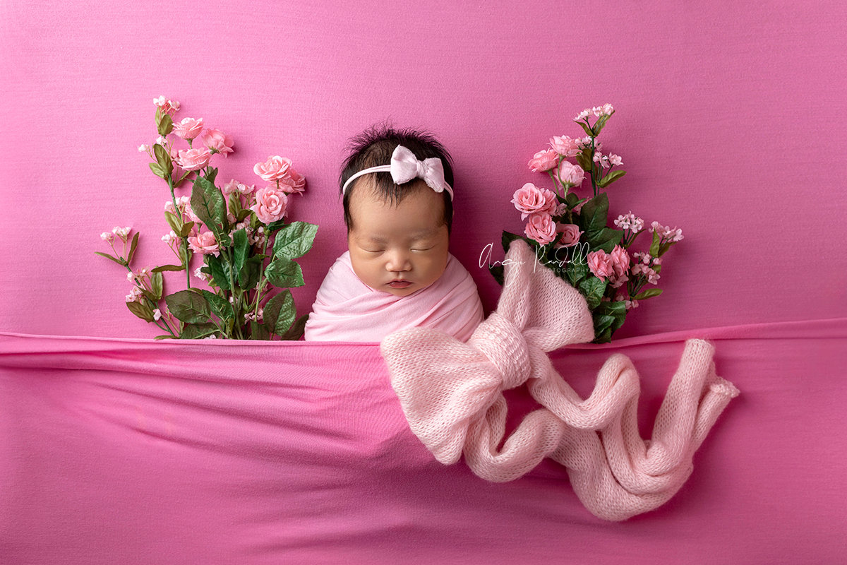 eau claire newborn photography photos
