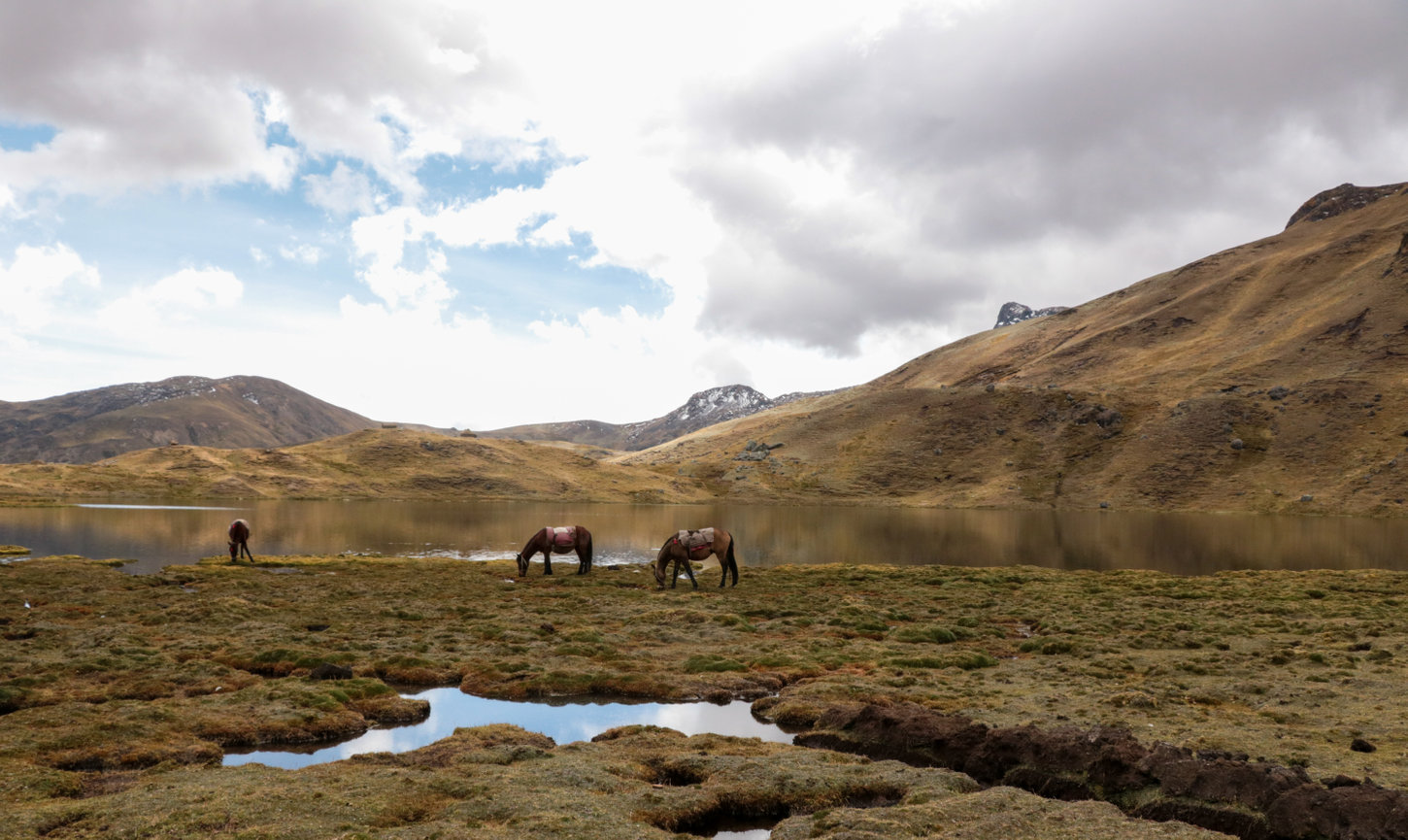 Horses grazing by a tranquil lake surrounded by mountains under a cloudy sky.