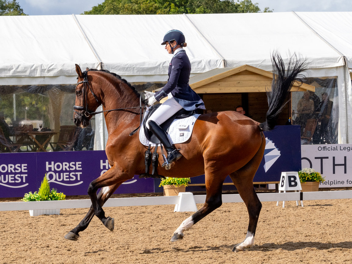 A rider in formal attire competes on a chestnut horse in an outdoor dressage arena.