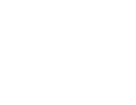 Picture Lady Photography, LLC Logo