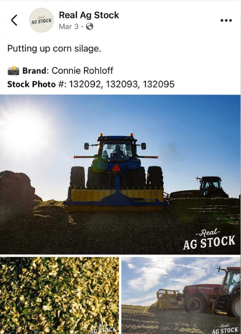 CORN