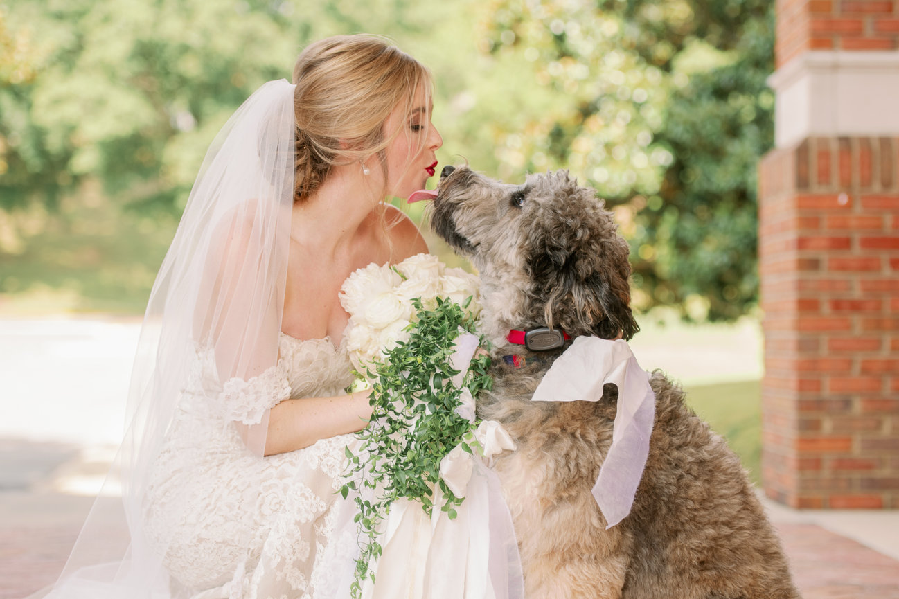 Dog licking a bride in her Monique Lhuillier dress holding her bouquet. Alabama wedding photography by Heather Durham.