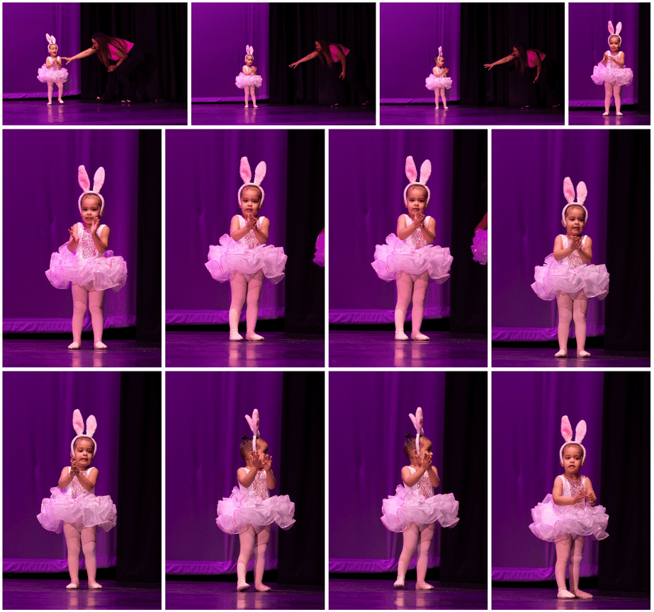 Individual Photo Gallery Samples