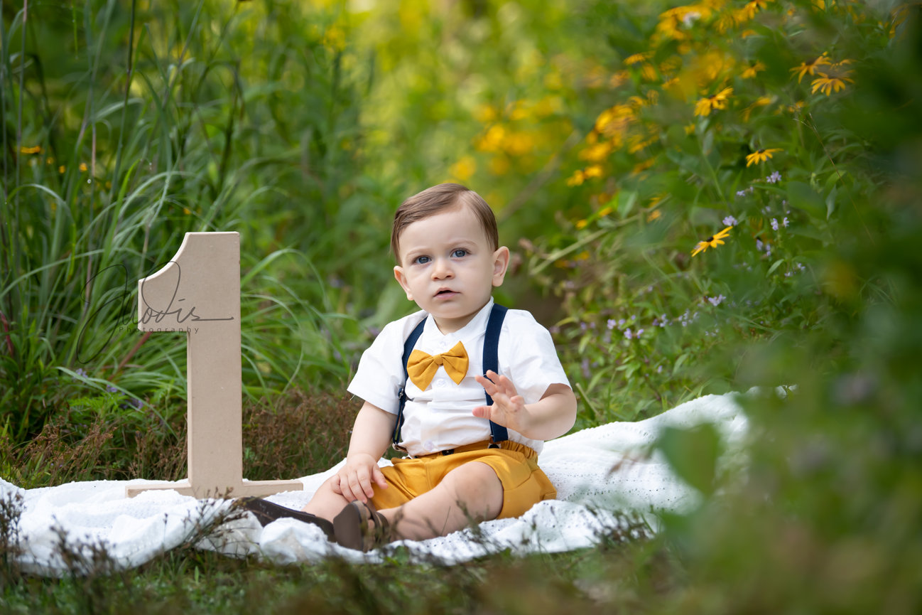 A toddler in a bow tie sits on a blanket surrounded by greenery and flowers, with a wooden number one nearby.