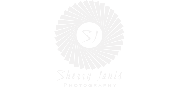 Sherry Janis Logo